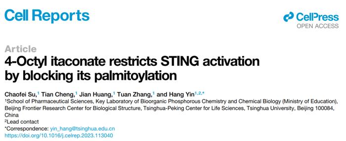 Cell Reports | 清华大学药学院尹航课题组发现4-辛基衣康酸阻断STING棕榈化抑制STING的激活
