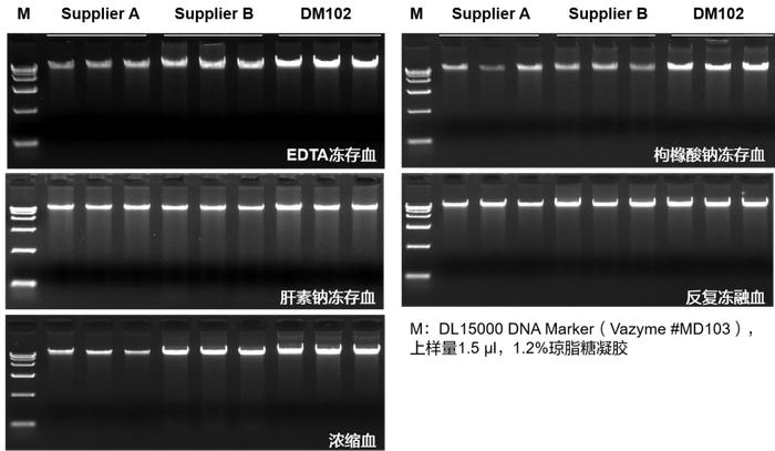 上新 | 便捷、高量、高纯-血液gDNA自动化提取试剂，实力登场！