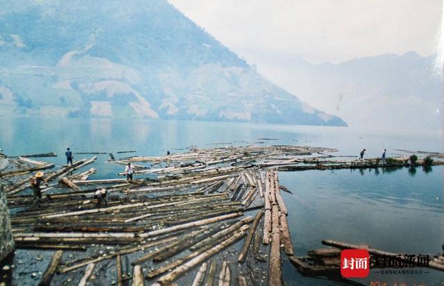 从赶漂人到护林人 25年见证中国天保工程“第一林”长成｜川流中国·上游行