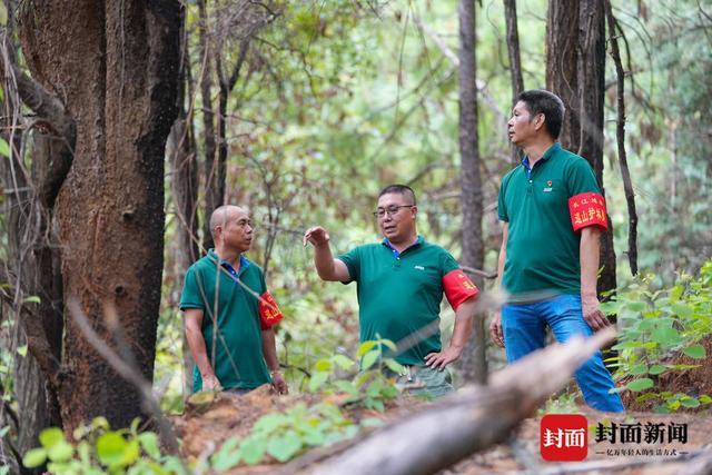 从赶漂人到护林人 25年见证中国天保工程“第一林”长成｜川流中国·上游行