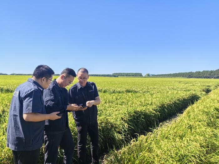 阳光农险完成种植险App和遥感应用平台压力测试