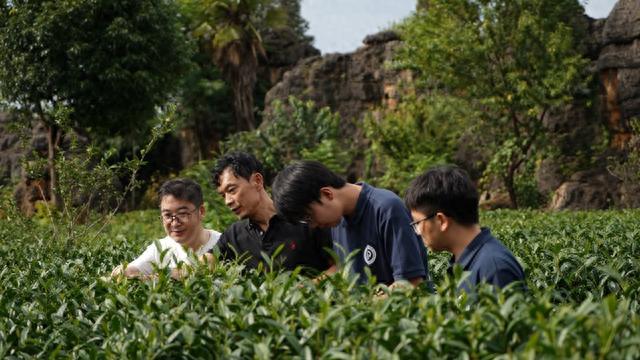 取法云南十里香古茶，喜提东方茶香，联合百雀羚开发国潮美妆日化