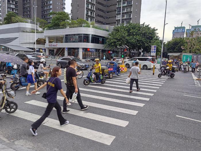 深网记“路”仪49:走在马路中间该走该停？网友报料称南山一红绿灯设置不合理