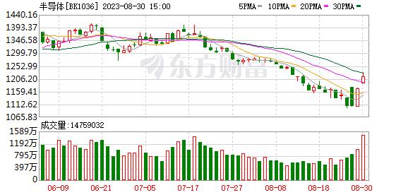 沪指震荡整理科创50指数涨2.5% 半导体板块大涨