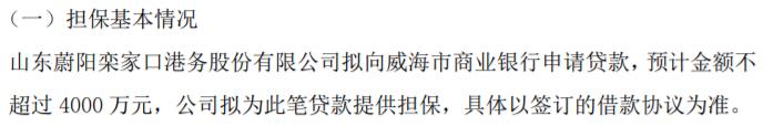 蔚阳股份拟向威海市商业银行申请不超过4000万贷款 公司拟为此笔贷款提供担保