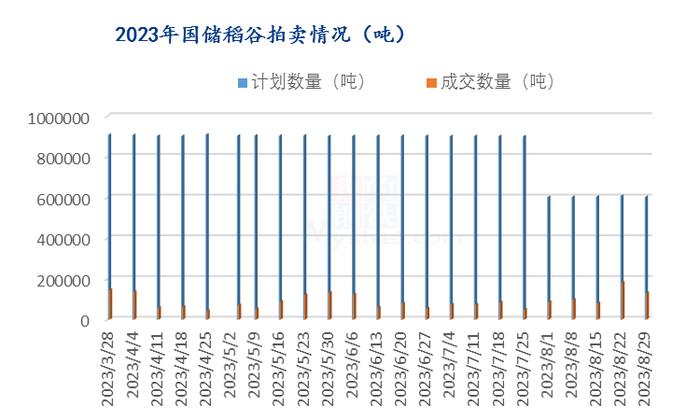 Mysteel解读：国际米价风起云涌，国内米市岿然不倒