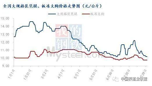 养殖‖成本飞涨，亏损后的白羽鸡养殖端何时能迎曙光？