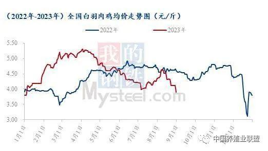 养殖‖成本飞涨，亏损后的白羽鸡养殖端何时能迎曙光？