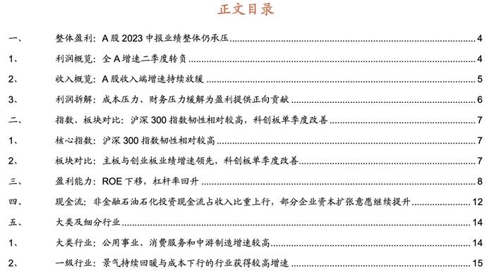 【招商策略】中报要点解读：盈利底部已现，关注中游制造、医药、TMT等业绩修复机会——A股2023年中报深度分析之一