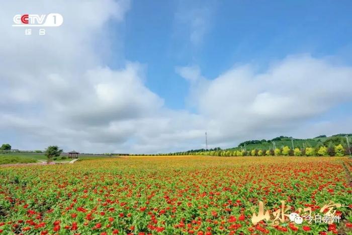 今晚20点，央视一套《山水间的家》解锁崇州“丰”景“密码”