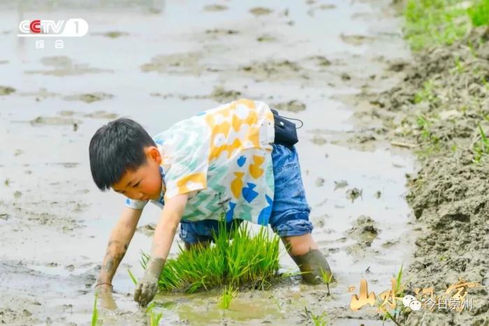 今晚20点，央视一套《山水间的家》解锁崇州“丰”景“密码”