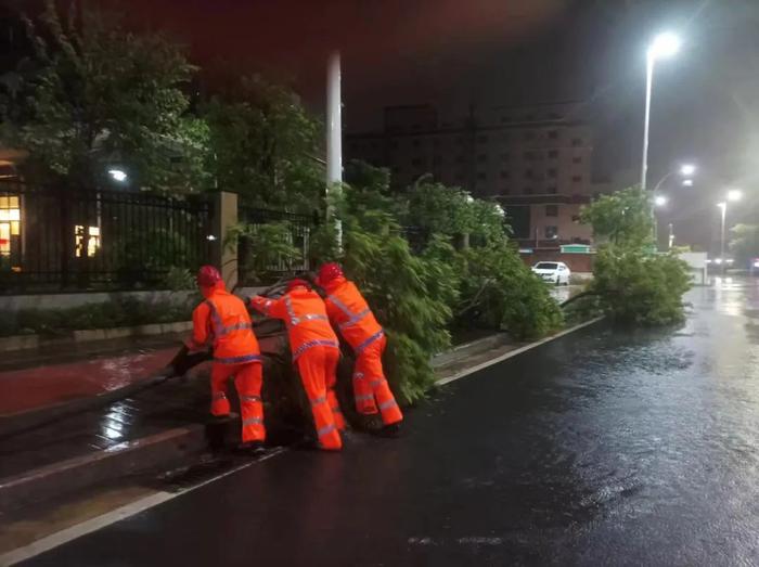 中山迎战台风“苏拉”现场实录！