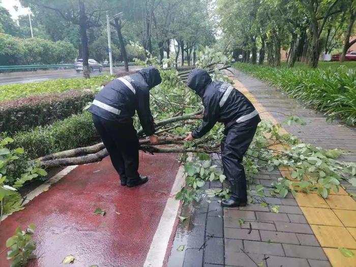 中山迎战台风“苏拉”现场实录！