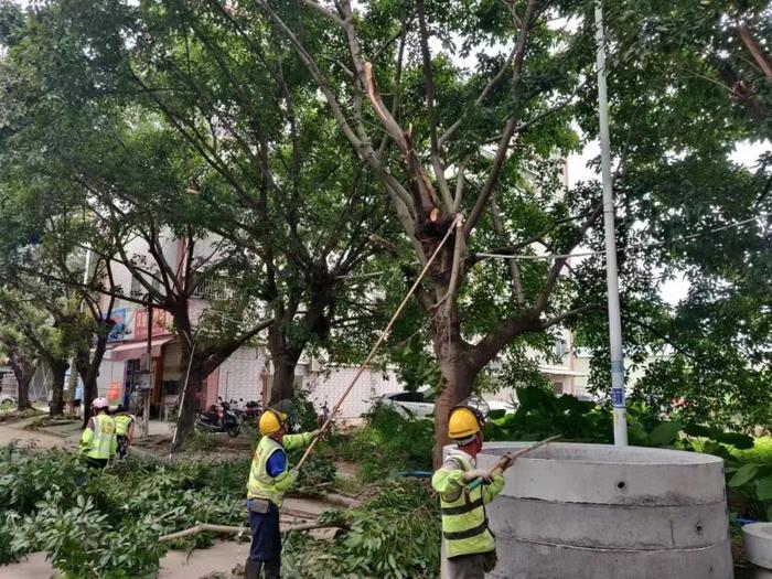 中山迎战台风“苏拉”现场实录！