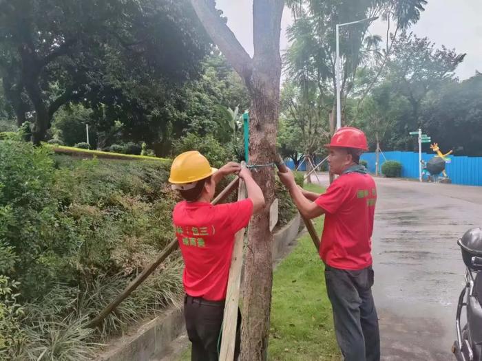 中山迎战台风“苏拉”现场实录！