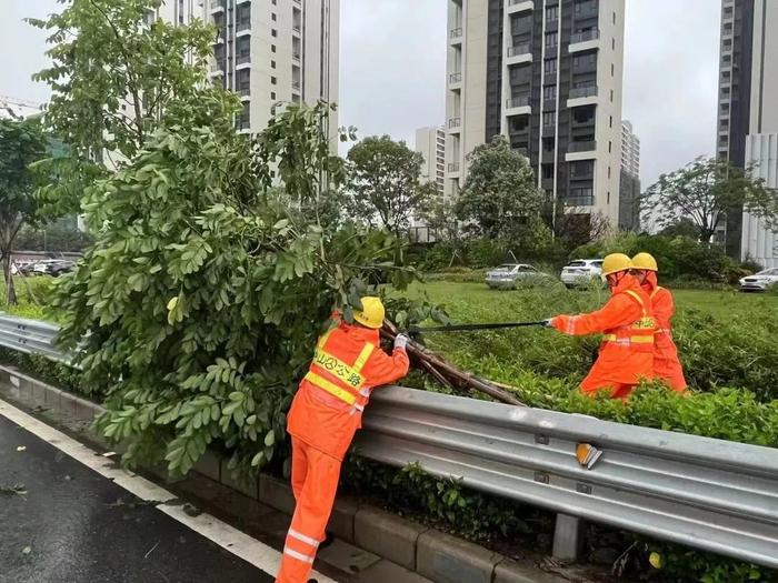 中山迎战台风“苏拉”现场实录！