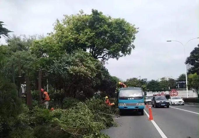 中山迎战台风“苏拉”现场实录！