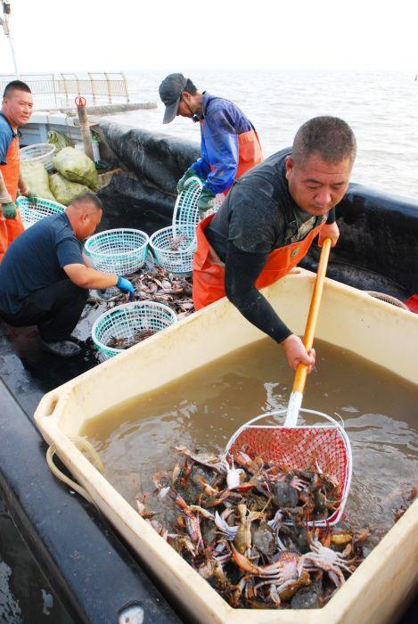 镜头丨开海啦！滨城200多条渔船出海捕捞