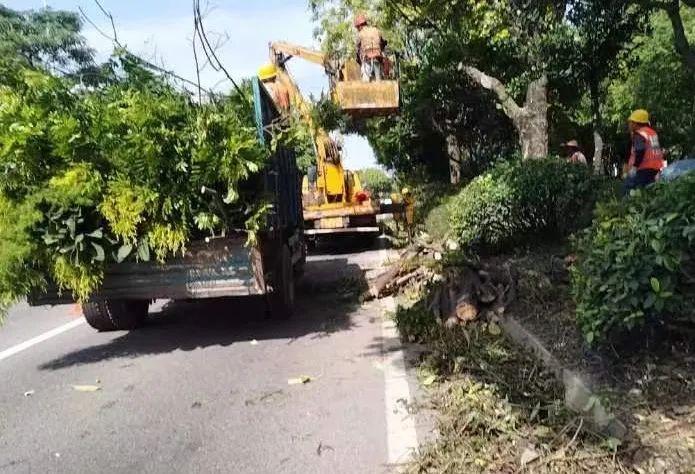 中山迎战台风“苏拉”现场实录！