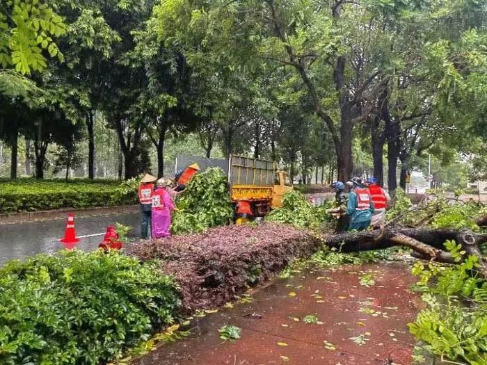 中山迎战台风“苏拉”现场实录！