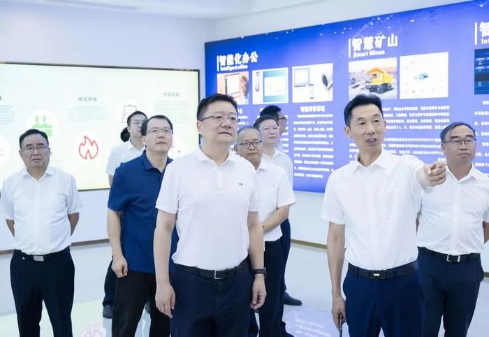 吴之凌率市直有关部门单位负责人赴阳新县走访调研重点企业项目