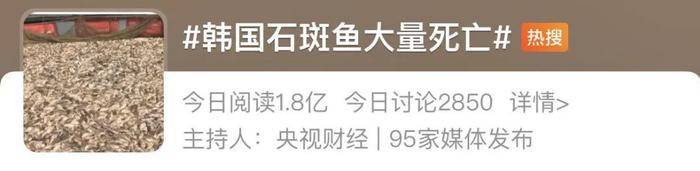 冲上热搜！石斑鱼卖不动，韩国超100万条鱼死亡！什么情况？