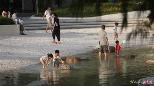 浦东22座“环上公园”建设：金海湿地公园和沔青公园完成升级改造向市民开放