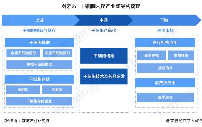 预见2023：《2023年中国干细胞医疗行业全景图谱》(附市场现状、竞争格局和发展趋势等)