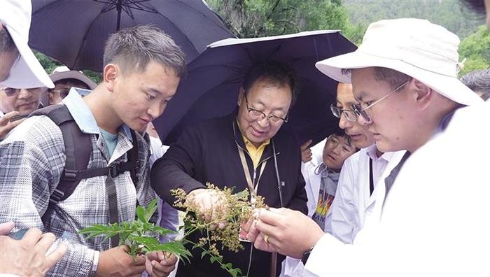 第二届五省（区）藏医药学术交流论坛举行