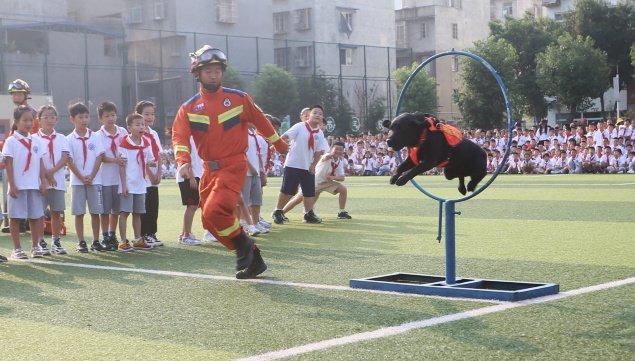 绵阳消防为学校“定制”课程，首堂课程让1800多名小学生“开眼界”