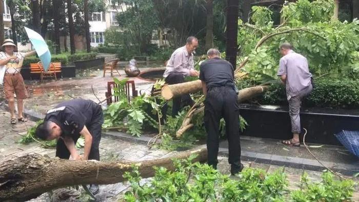 物企抗台风｜战“苏拉” ：台风暴雨中物业人的暖心事