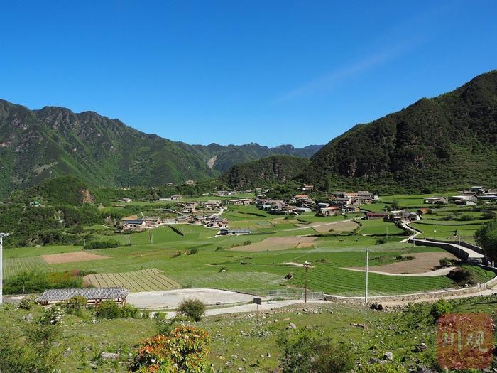 探访四川省乡村振兴重点帮扶优秀县：不只有“雪梨”，金川产业路越走越宽