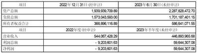 贵州轮胎股份有限公司关于为境外全资孙公司向银行申请项目贷款提供担保的公告