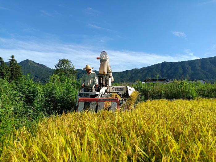 丰收的喜悦“写”在脸上