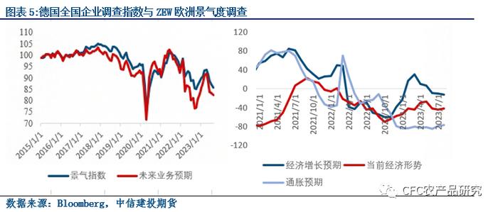 航运专题 · 无根之水还是成竹在胸——如何看待现货单边下行时的强势涨停？