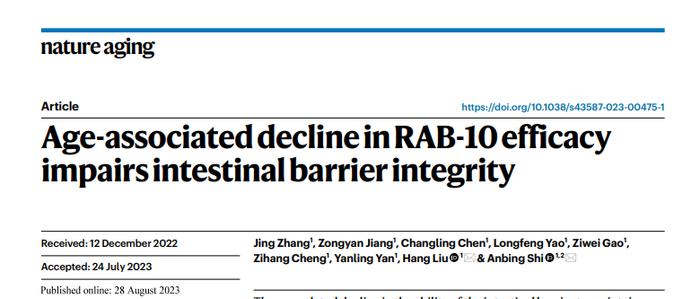 Nat Aging |华中科技大学史岸冰教授团队揭示衰老影响肠屏障完整性的机制