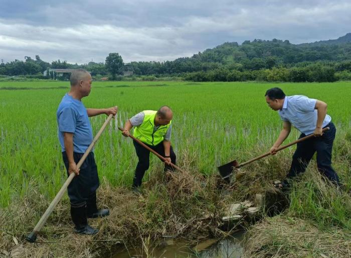 争分夺秒！中华财险扎实推进“苏拉”台风农险防灾救灾工作