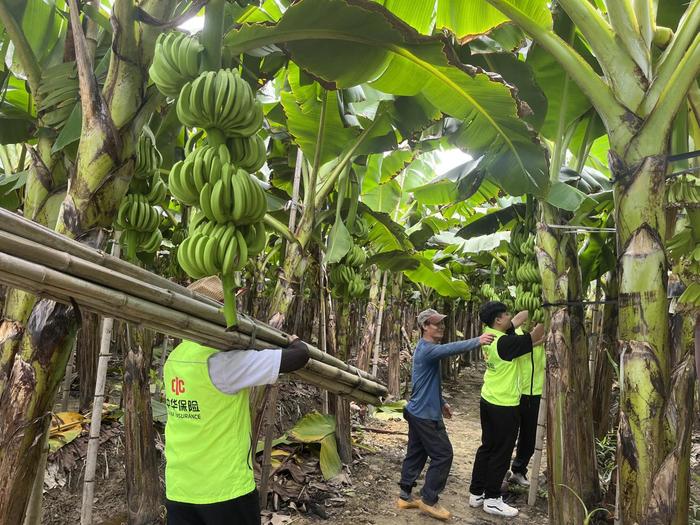 争分夺秒！中华财险扎实推进“苏拉”台风农险防灾救灾工作