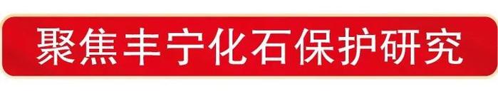 我国恐龙化石研究取得世界性重大成果——河北承德丰宁发现世界上保存最完整的恐龙皮肤化石和新属种角龙