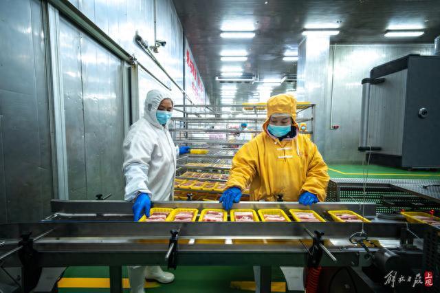 预制菜卷出新高度，腰花、猪肝也能在家做出饭店的口味