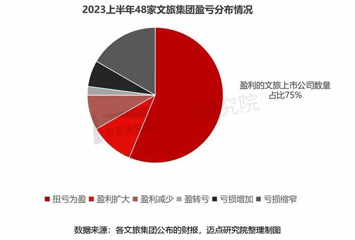 2023上半年文旅集团财务分析报告