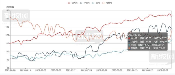 8月量价齐升！ 黄羽鸡企业步入盈利期 业内人士看好后市行情