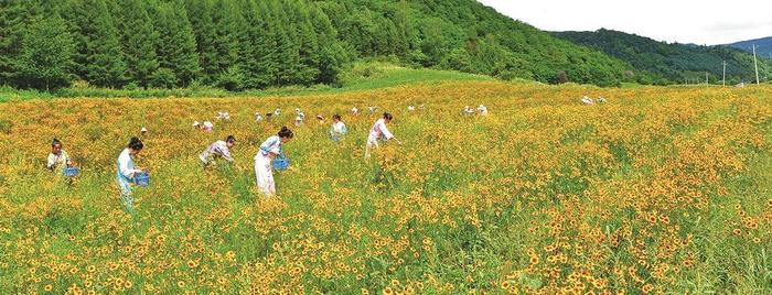 白山：做强绿色产业 加快建设践行“两山”理念试验区