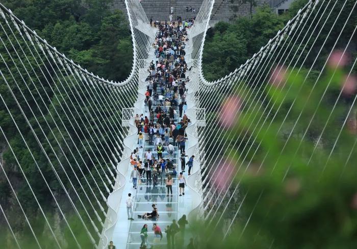 免门票、半价！教师节期间，湖南这些景区有福利→