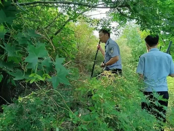 一大波人去岳麓山捡“秋天的第一袋酸枣”！小小酸枣究竟有何魔力？