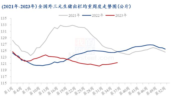 Mysteel解读：学校开学提振有限，毛猪与白条偏弱博弈