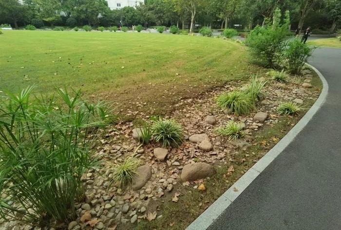 近期多座城市严重积涝，值得警惕！上海排水能力如何？要补哪些“短板”？