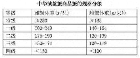 阳澄湖大闸蟹9月25日开捕！选蟹小妙招在此→