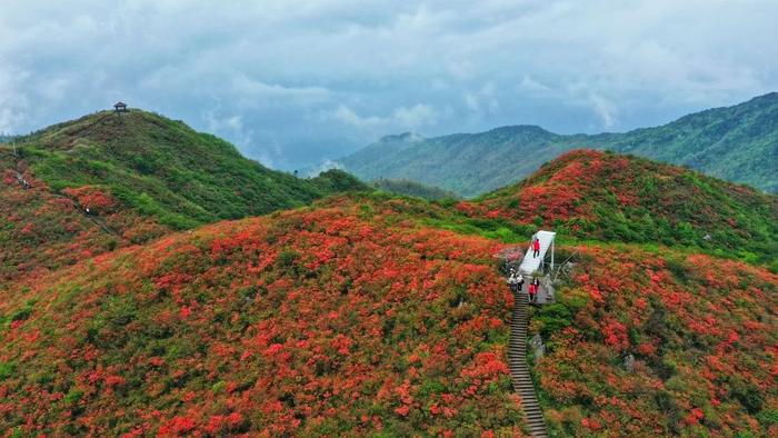 免门票、半价！教师节期间，湖南这些景区有福利→