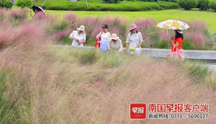 花不醉人人自醉，来这里沾染一点粉色的浪漫吧